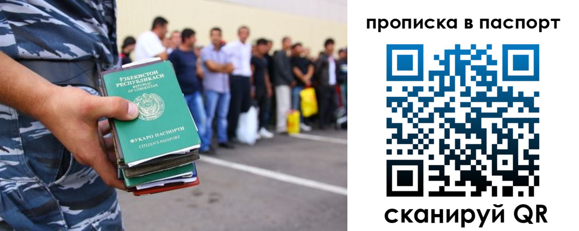 прописка в квартире в Ленинградской области